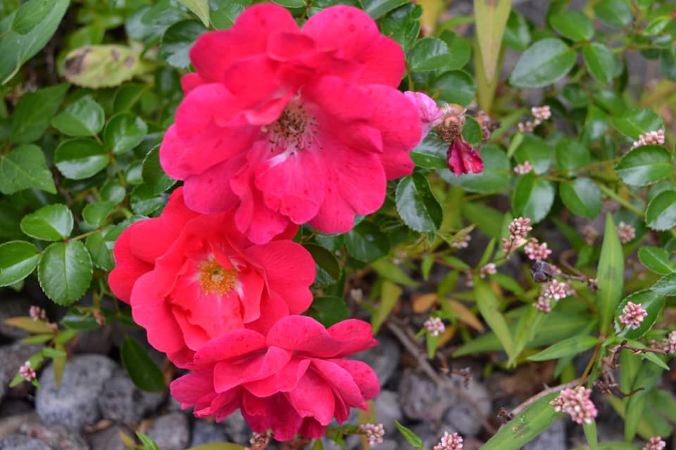 Strength Beyond Sight